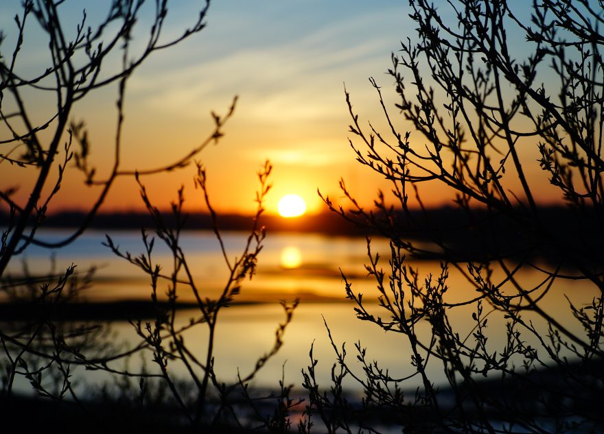 весна, солнце