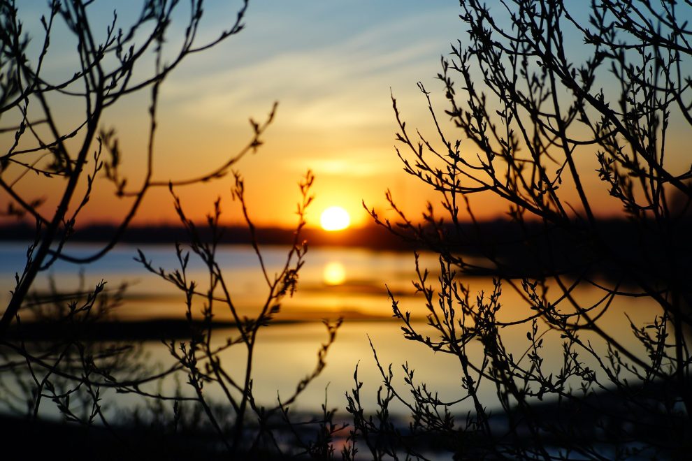 Фото: Анастасия Чистякова/РИА Верхневолжье
