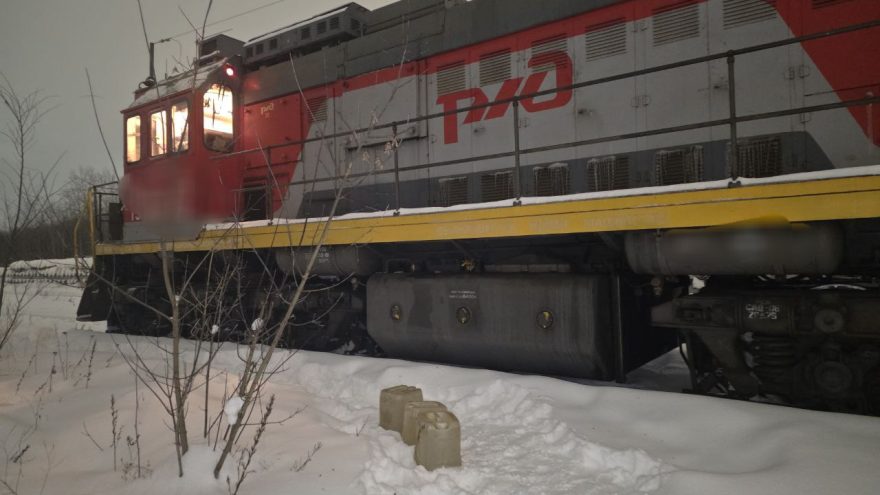 IMG 20260225 153135 754 (1)