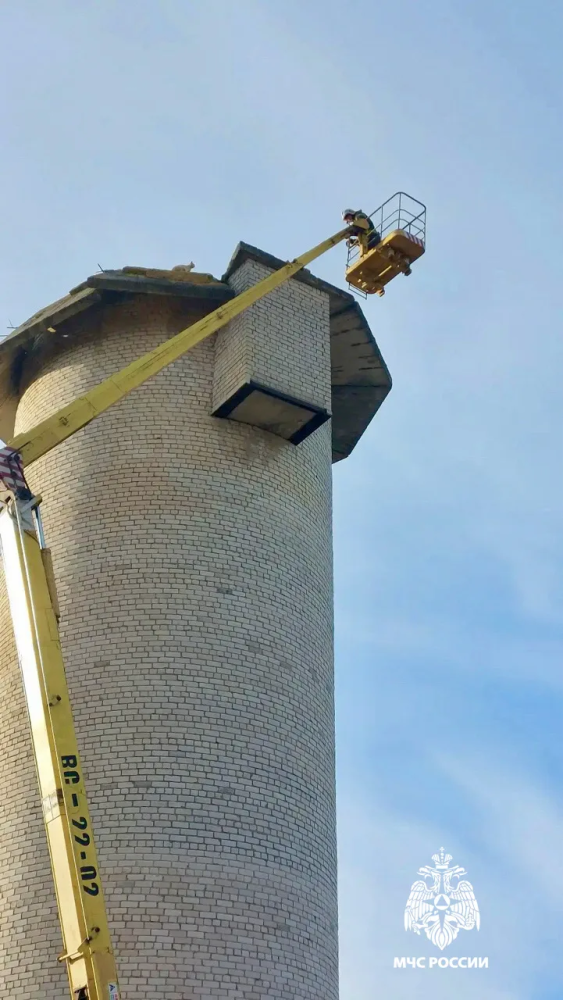 кот на водонапорной башне, рамешки