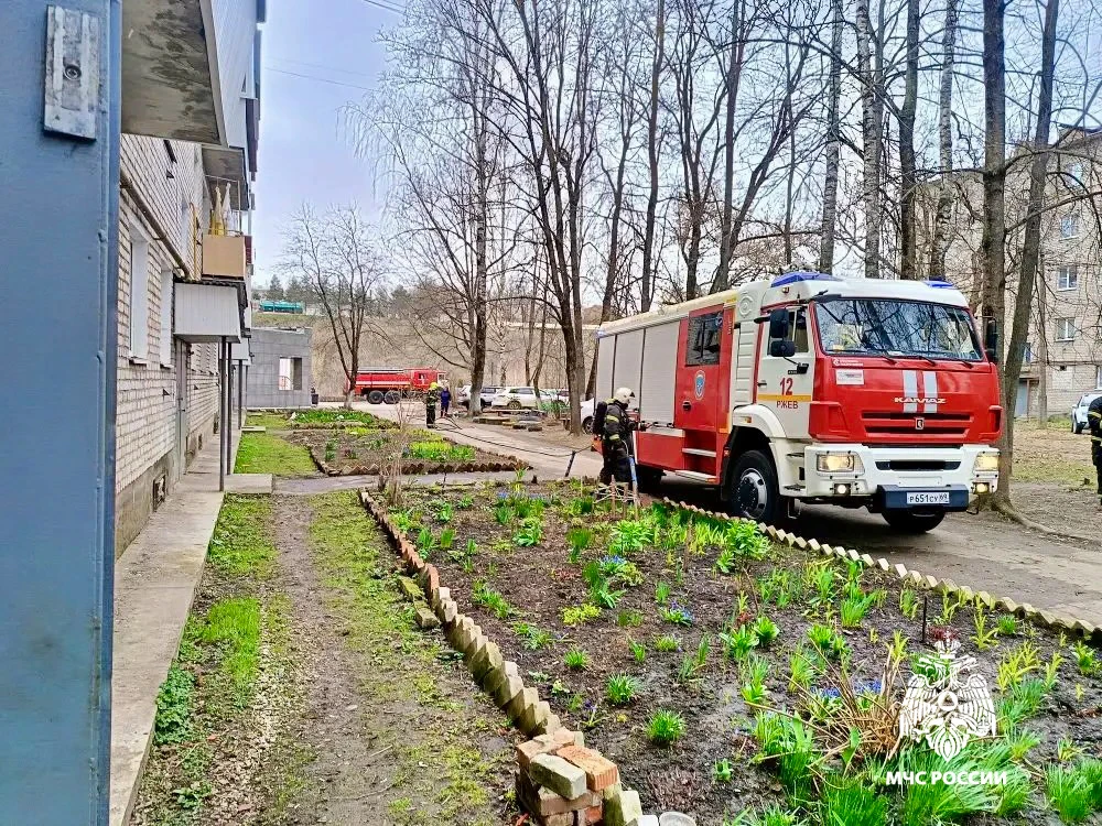 Фото: МЧС России по Тверской области