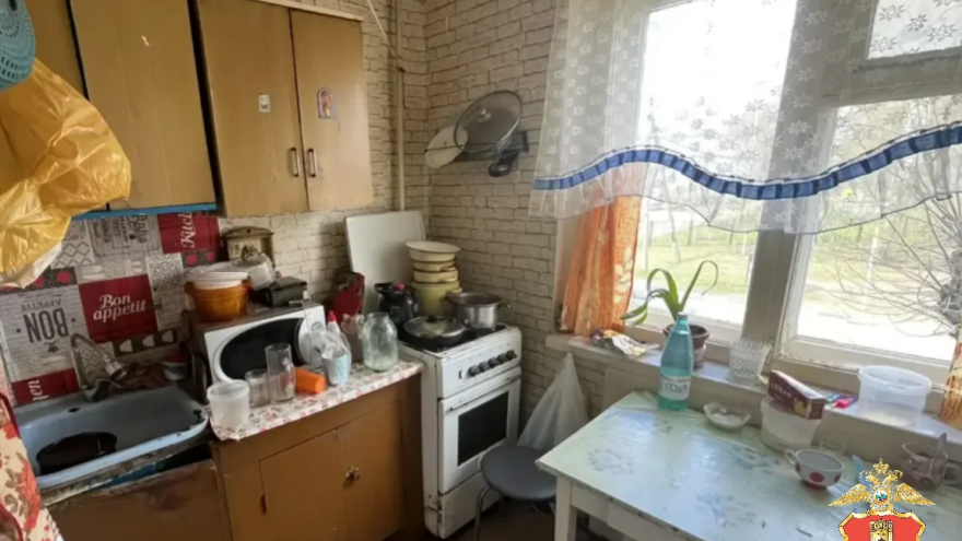 Нетрезвый племянник напал на дядю в Тверской области