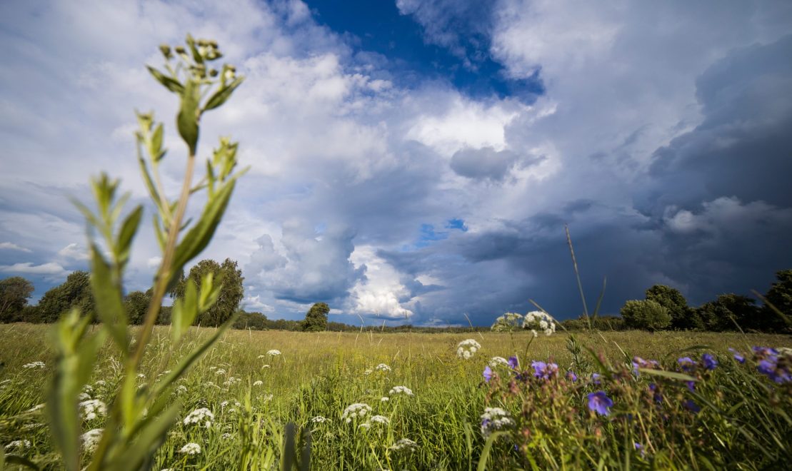 Фото: Света Рудакова/РИА Верхневолжье