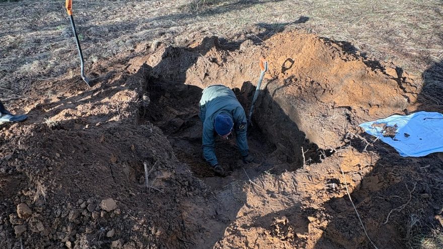 поисковики