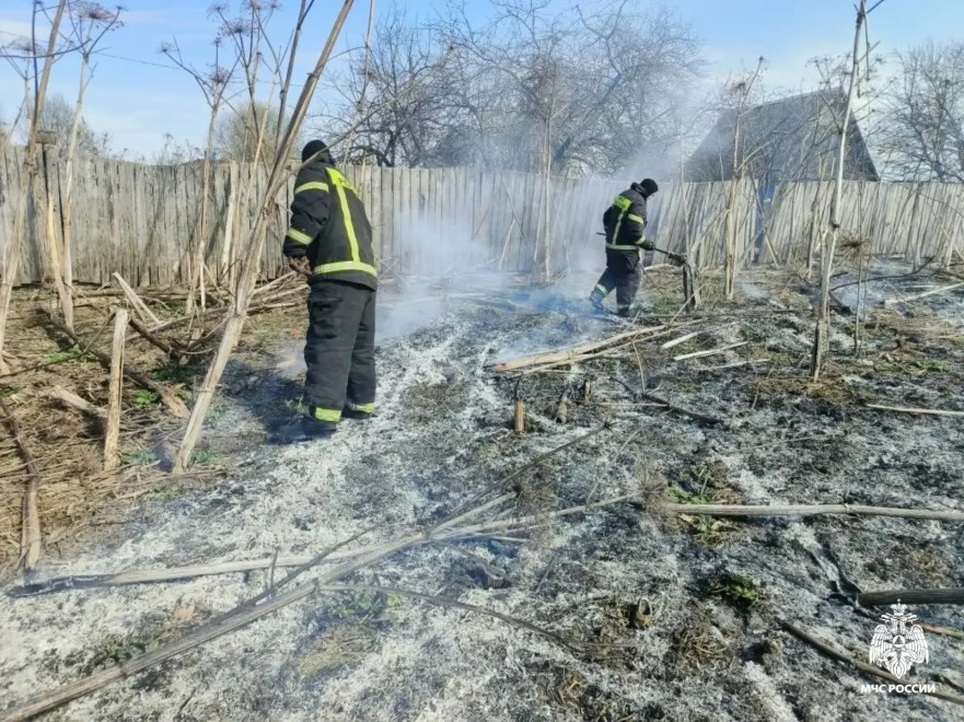 Фото: пресс-служба регионального МЧС