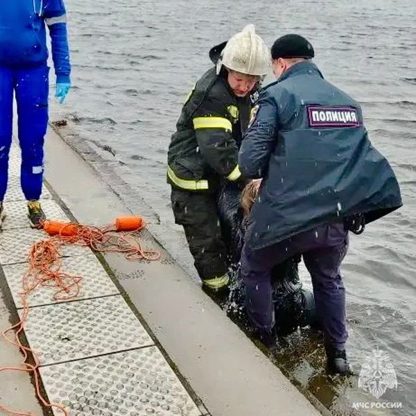 В Твери спасатели вытащили женщину из воды