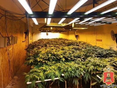 наркотик, конопля