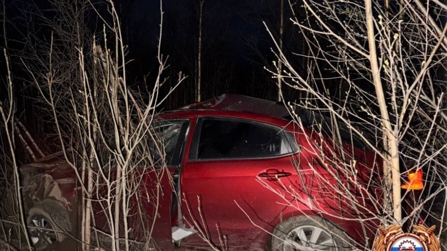 лось дтп зубцов