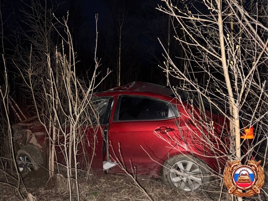 Фото: Госавтоинспекция