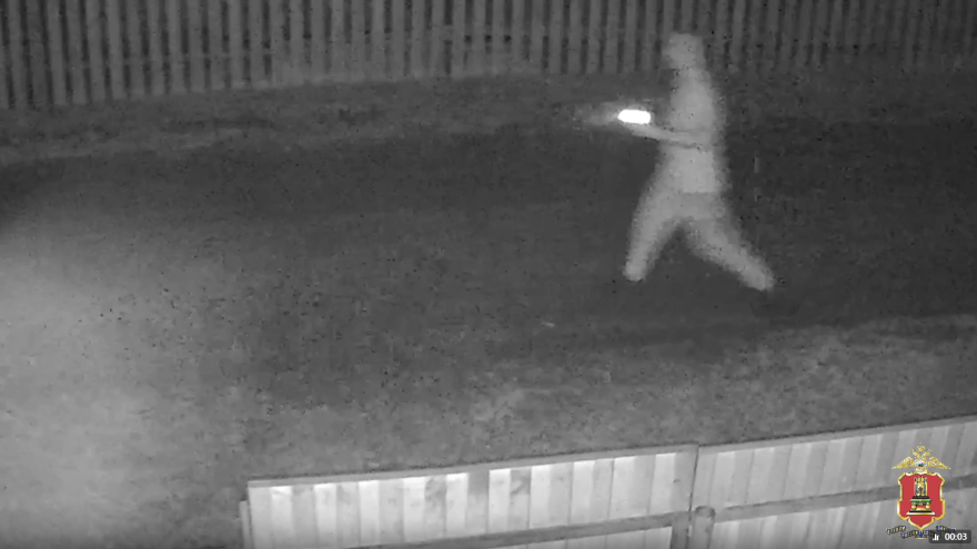 пьяный дебошир