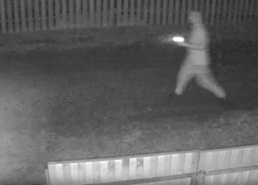 пьяный дебошир