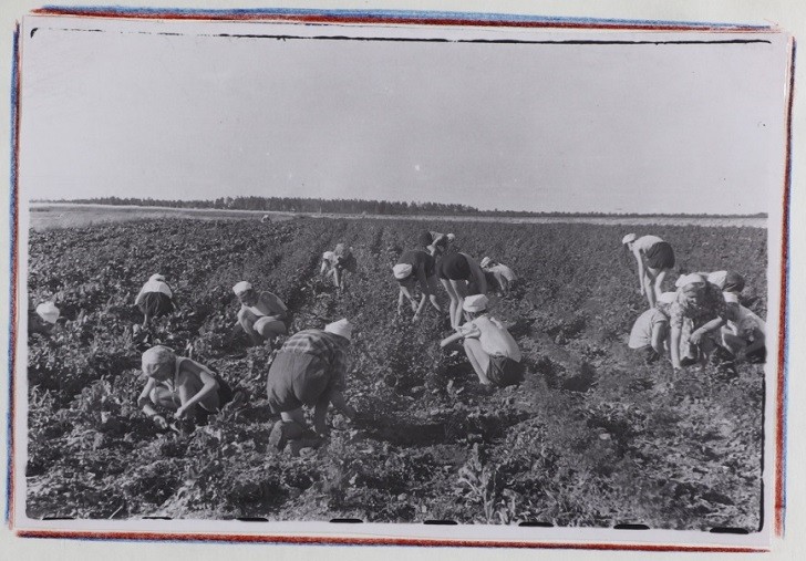 Пионеры лагеря “Ракета”