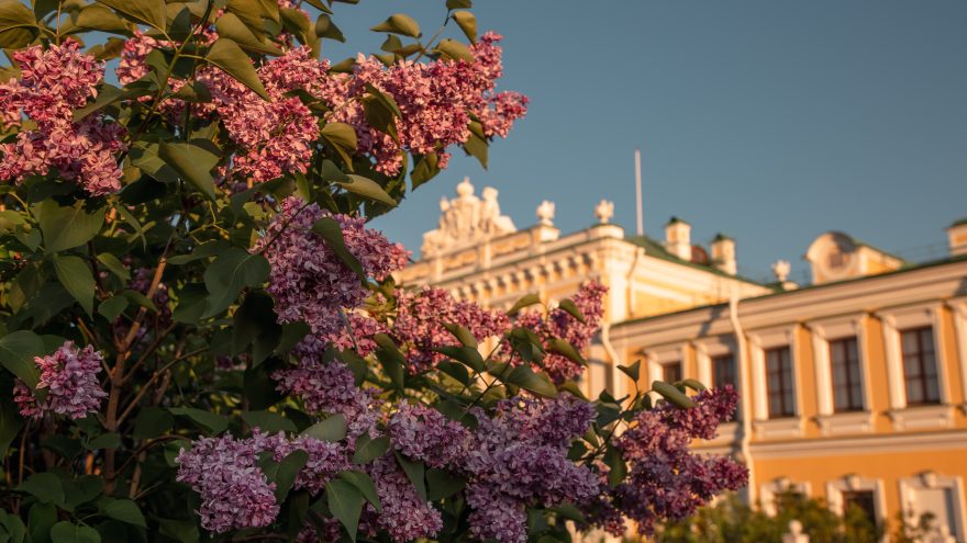 Белякова Кристина (49)