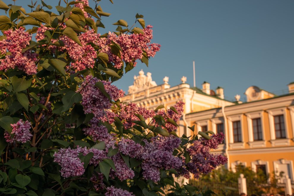 Фото: Кристина Белякова/РИА Верхневолжье