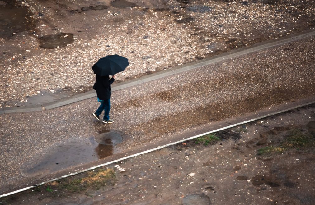 Фото: Кристина Белякова/РИА Верхневолжье