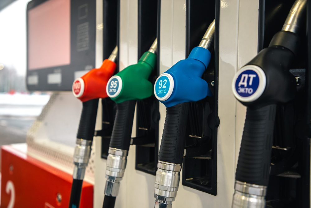 Фото: Кристина Белякова/РИА Верхневолжье