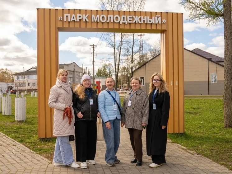 голосование, лихославль