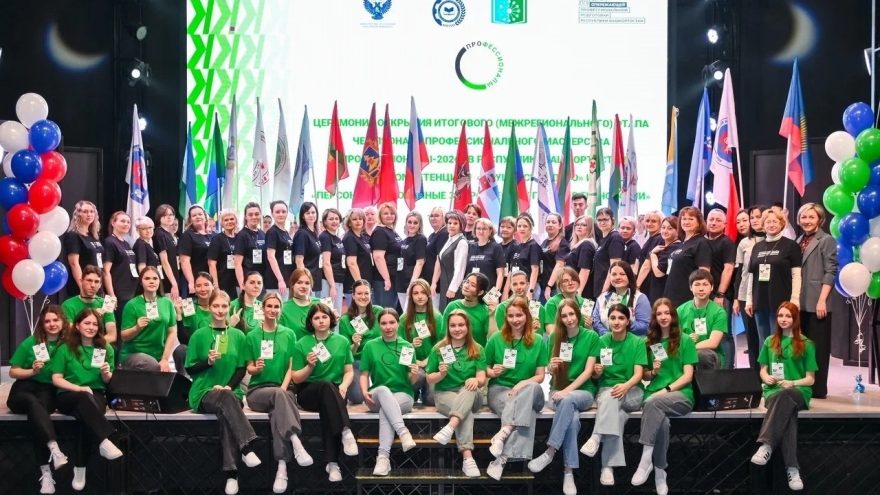 чемпионат профессионалы