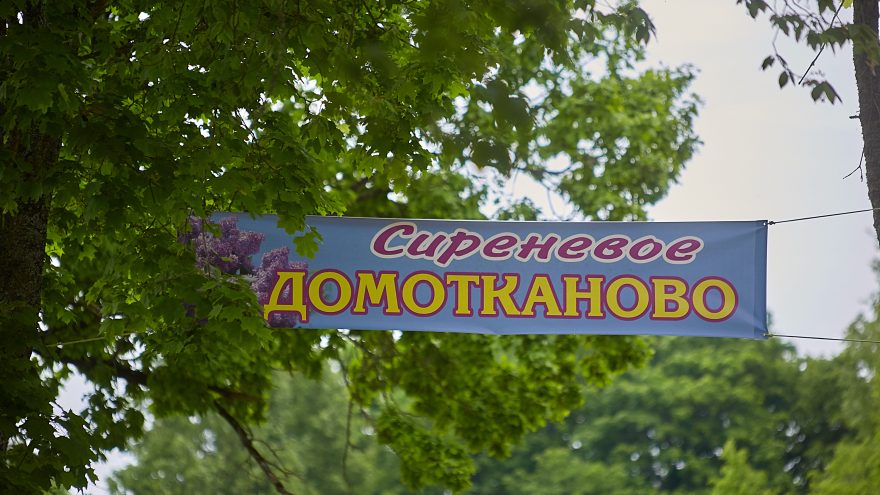 сиреневое домотканово