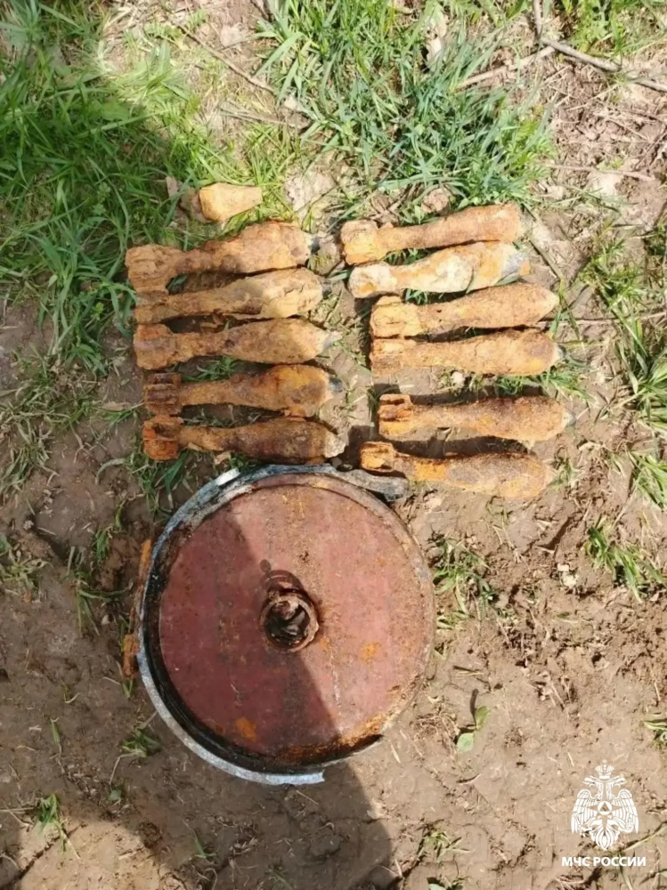 В Зубцовском и Ржевском округах ликвидировали боеприпасы