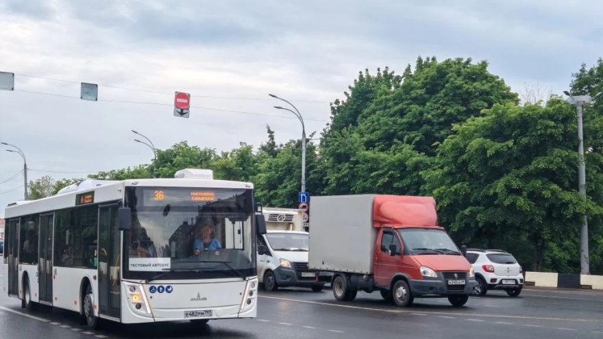 автобусы