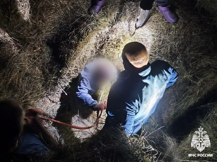 Фото: МЧС по тверской области