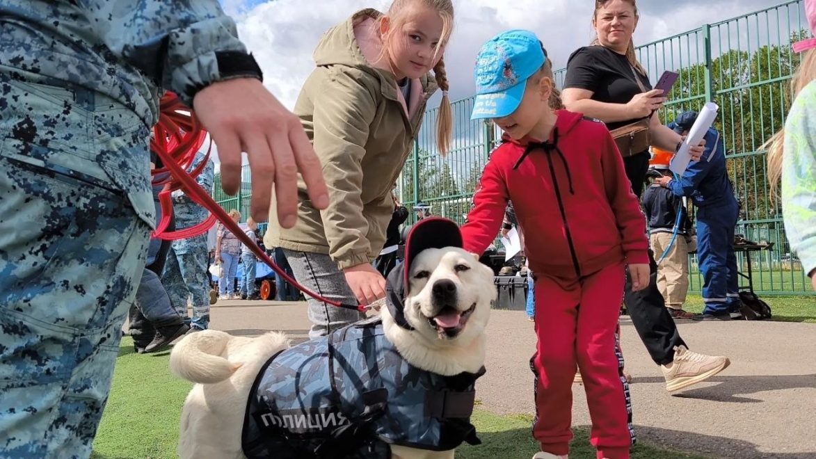 Фото: пресс-служба регионального УМВД