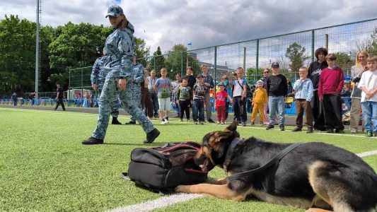 собака