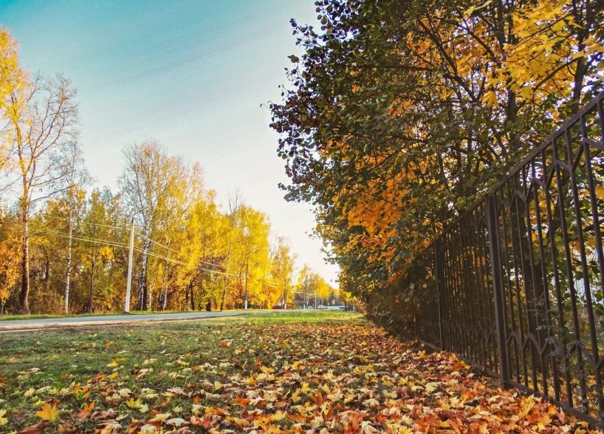 осень, бабье лето