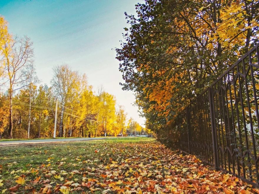 Фото: Кристина Белякова/РИА Верхневолжье