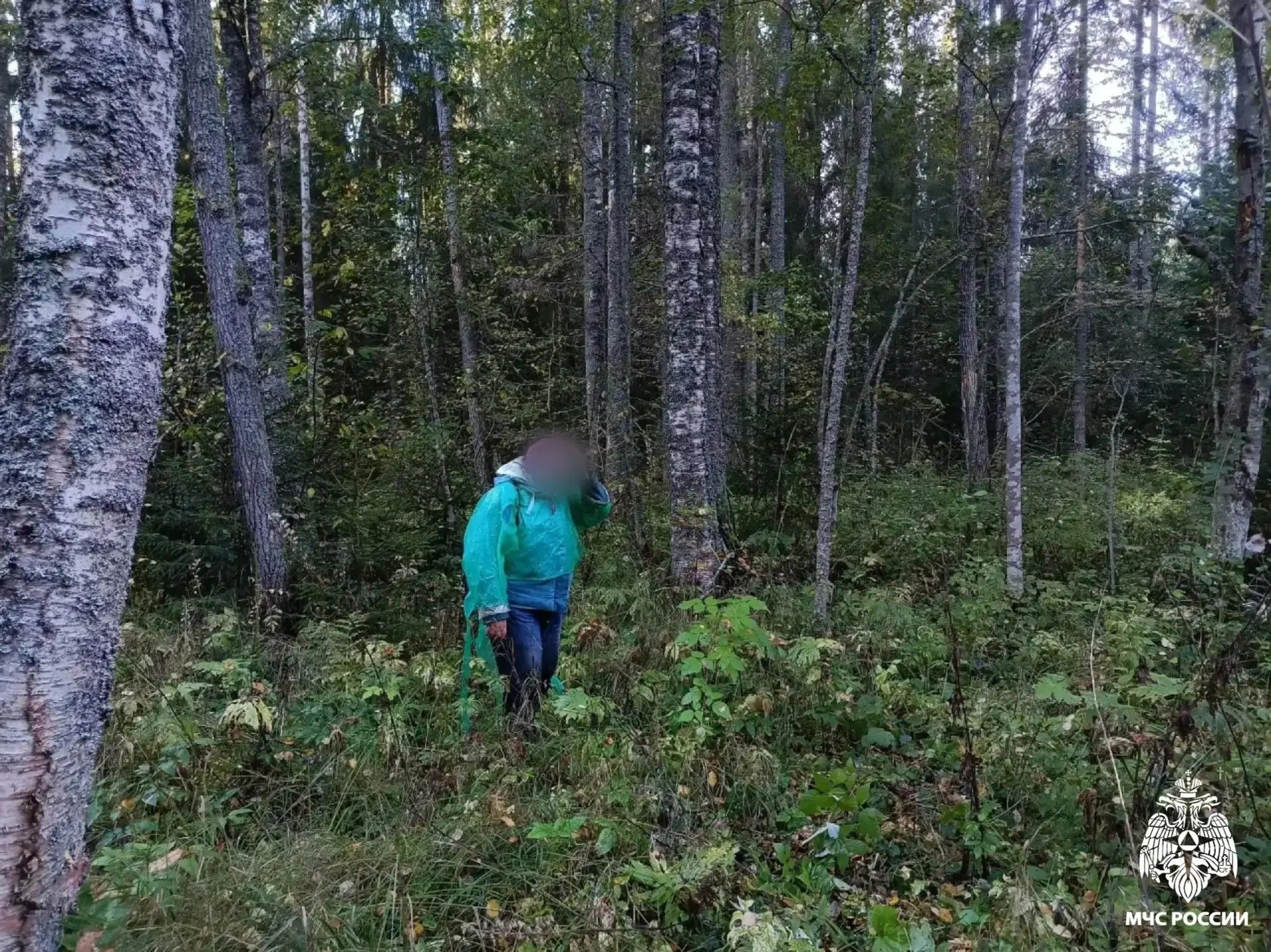 фото: ГУ МЧС России по Тверской области