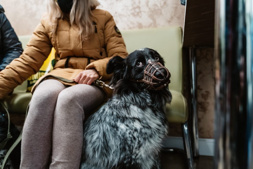 Фото: Максим Школьников/РИА Верхневолжье