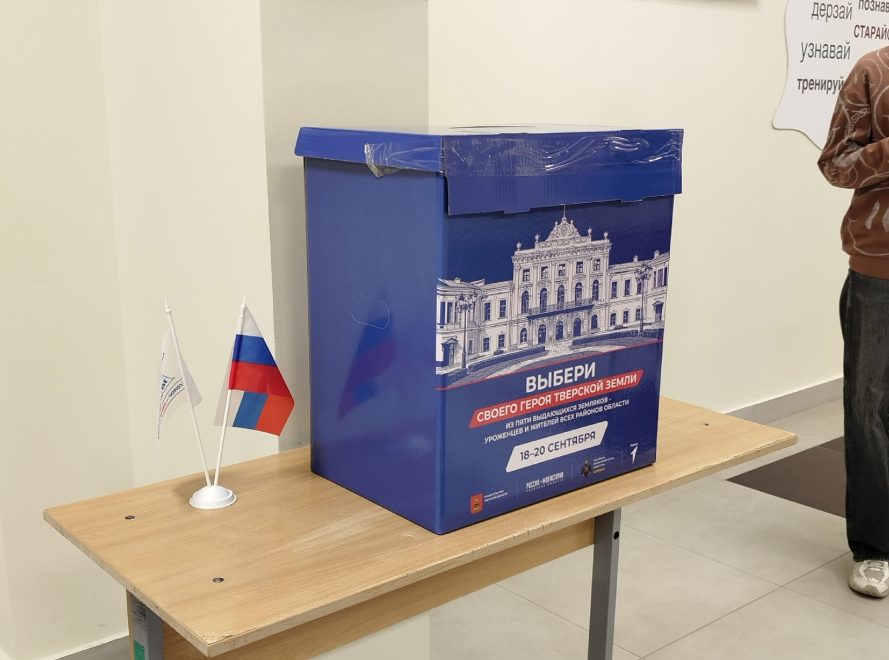 выборы голосование (3)