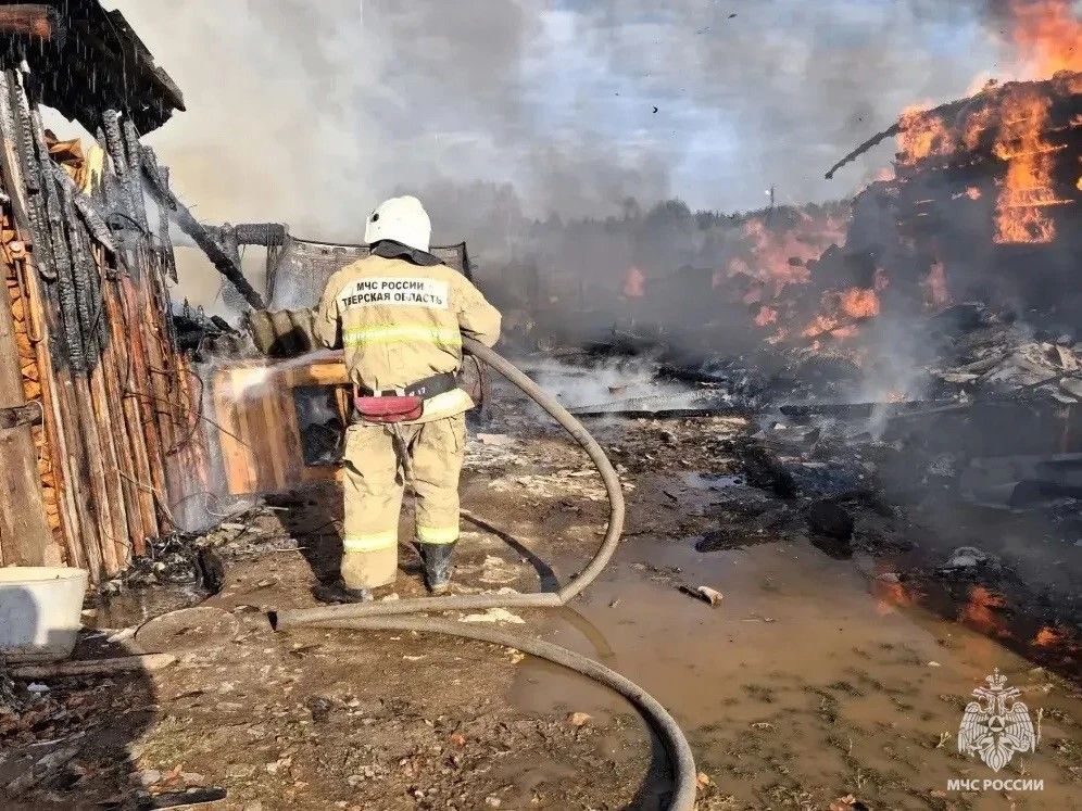Фото: МЧС России по Тверской области