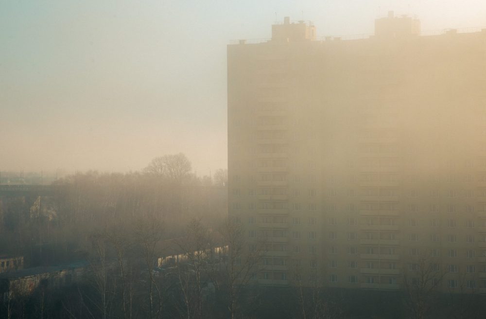 Фото: Кристина Белякова/РИА Верхневолжье