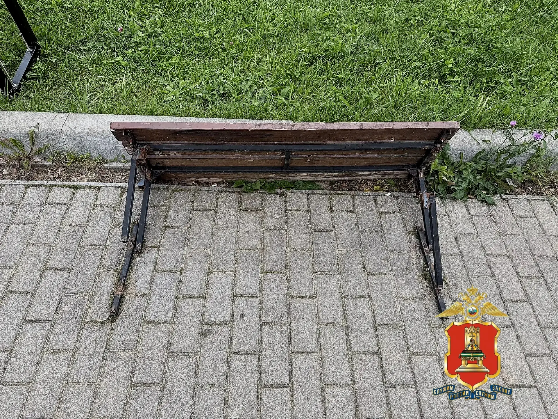 Фото: пресс-служба регионального УМВД