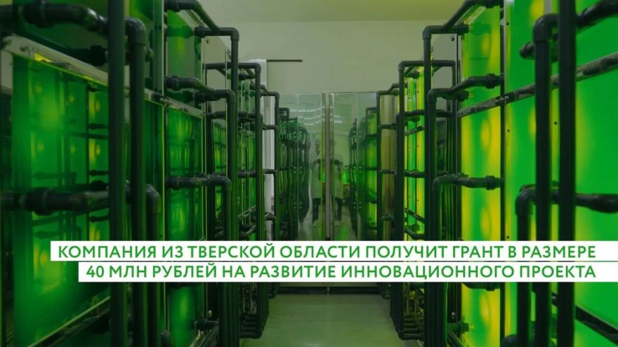 компания