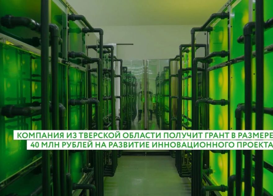 компания