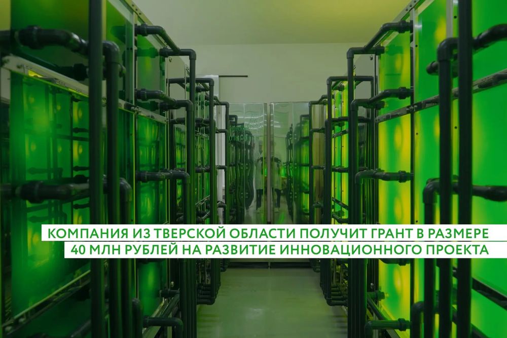 фото: пресс-служба областного правительства