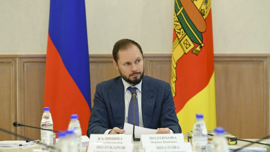королев стрыгина