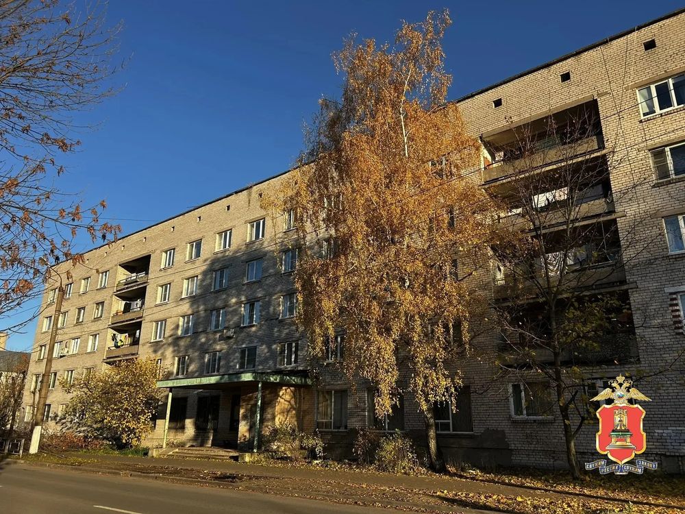 фото: УМВД региона