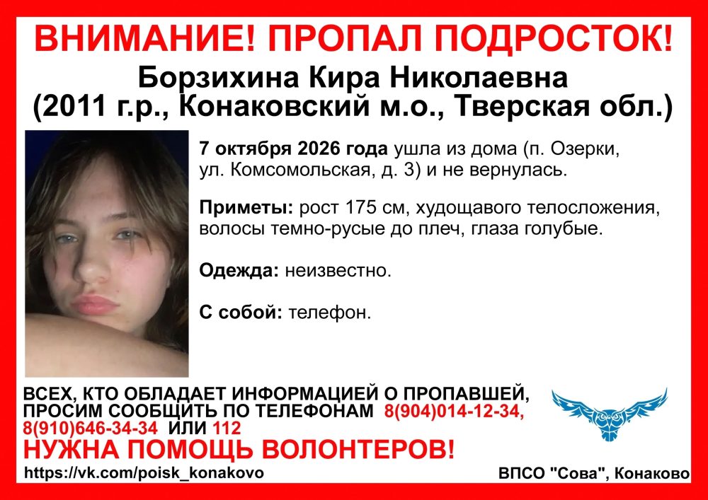 пропал борзихина
