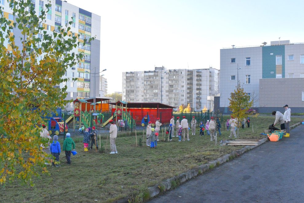 роща поколений (4)